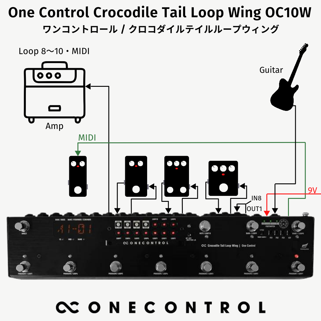 Crocodile Tail Loop Wing OC10W (OC-OC10W)