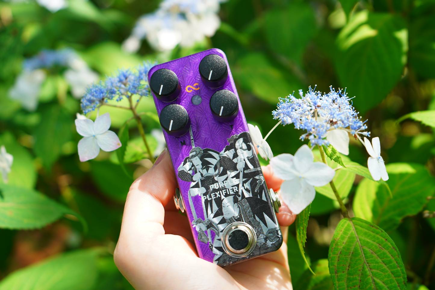 PURPLE PLEXIFIER 4K Japonism Edition (OC-PP4Kn-JE)