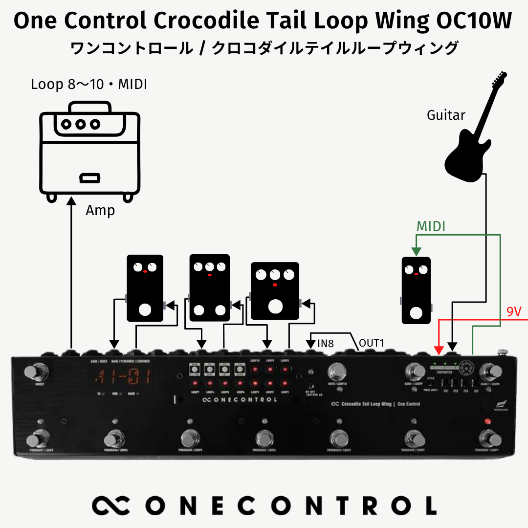 Crocodile Tail Loop Wing OC10W (OC-OC10W)