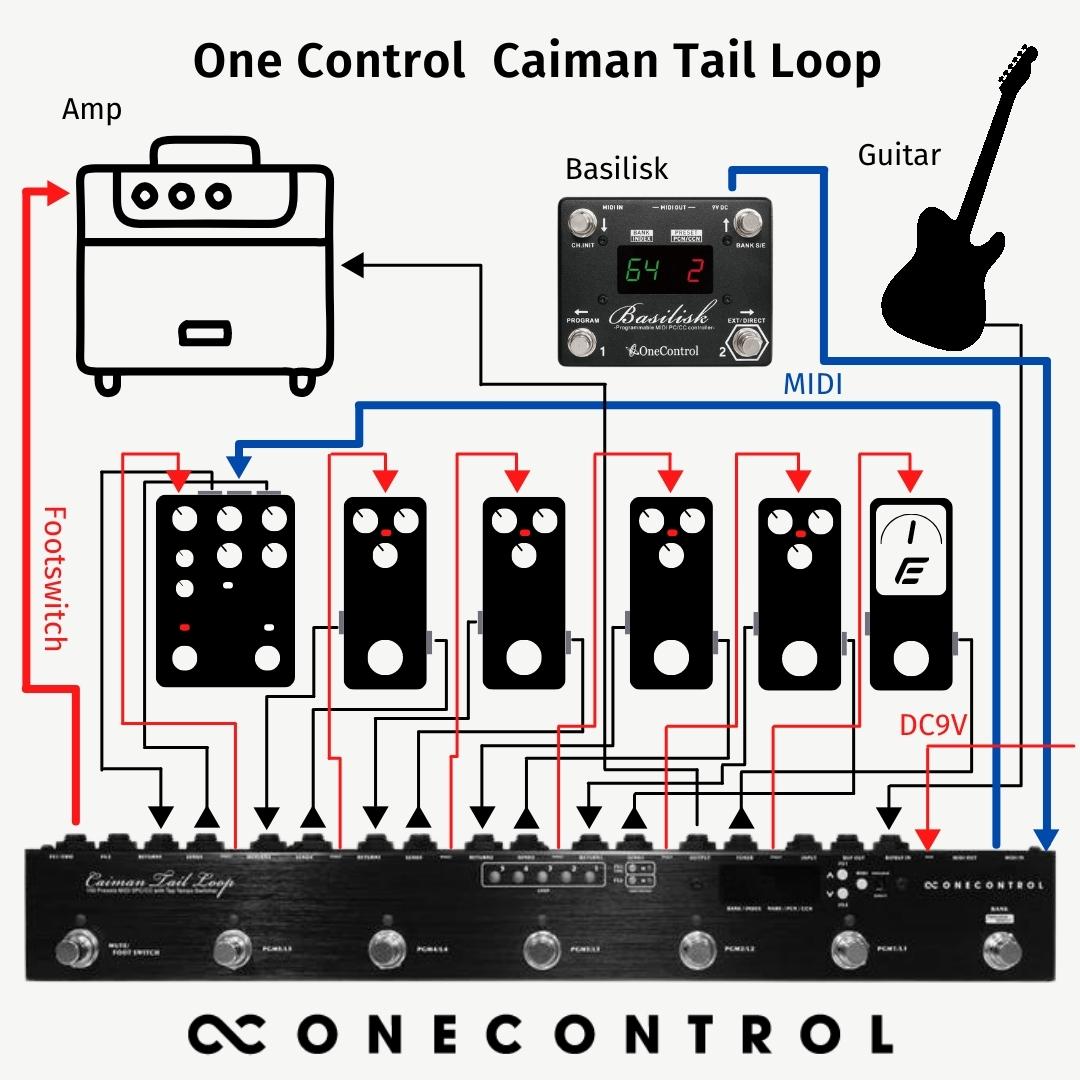 人気【値下げ交渉可】One Control Caiman Tail Loop ギター