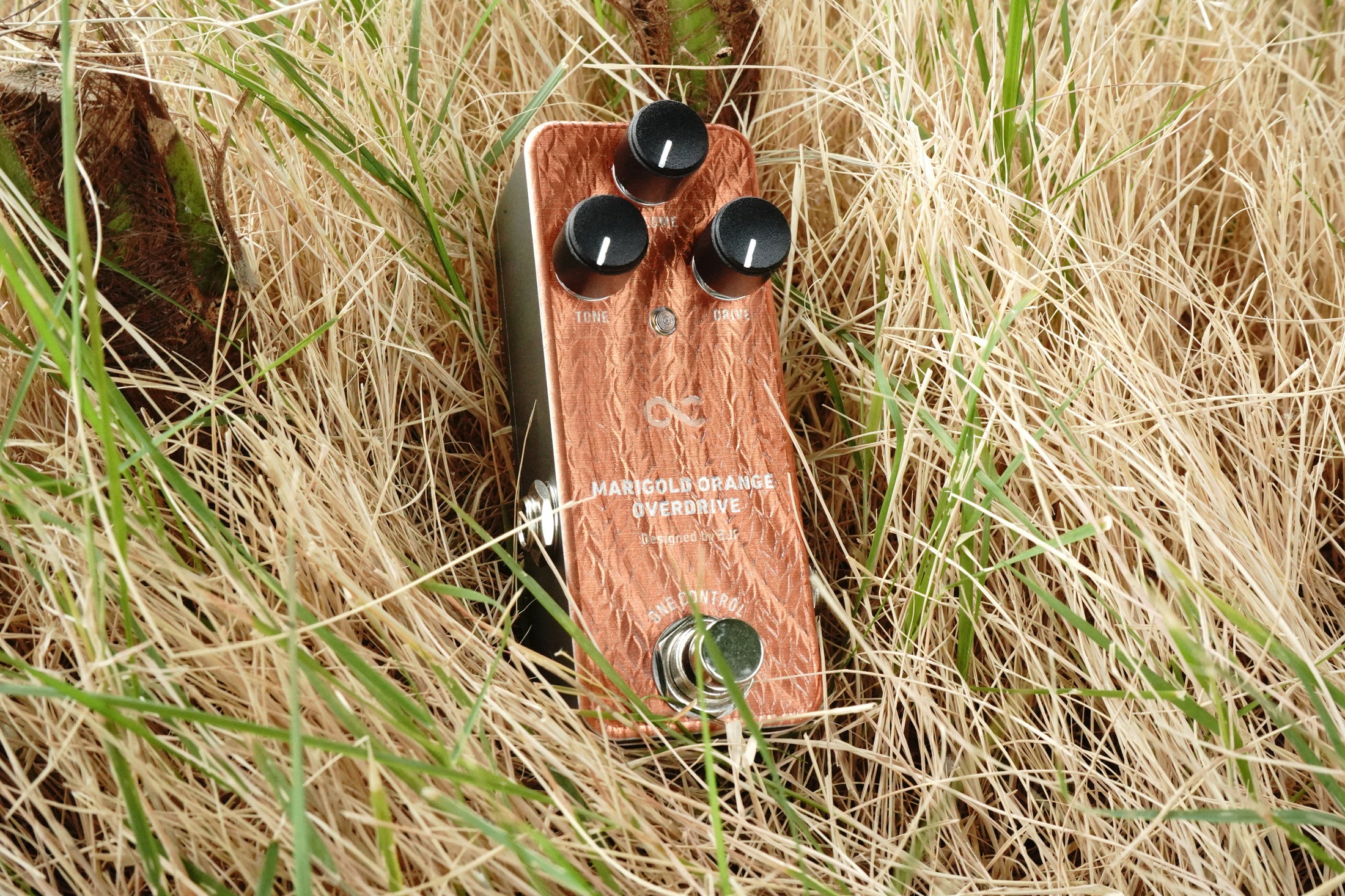 MARIGOLD ORANGE OVERDRIVE (OCMOODn) One Control USA